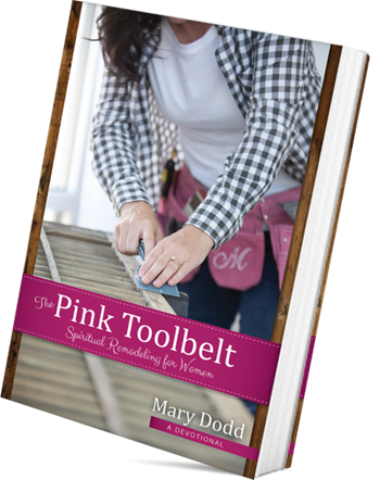 toolbelt