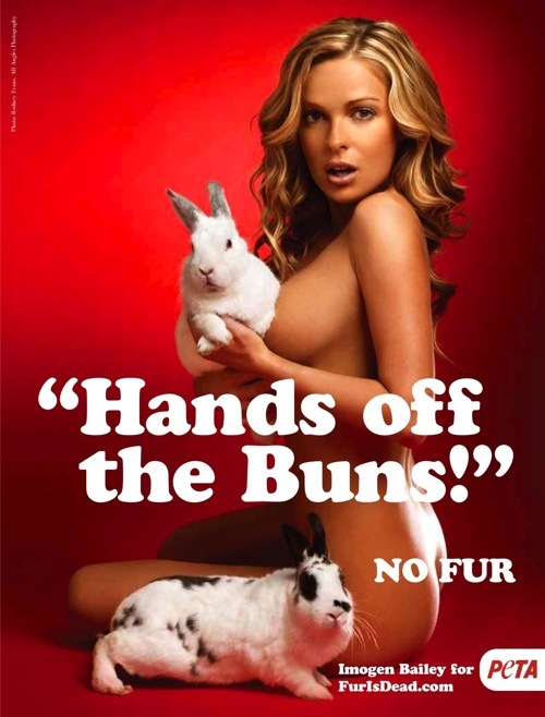 peta (16)