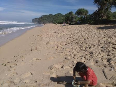 Pantai Watu Kodok Gunung Kidul