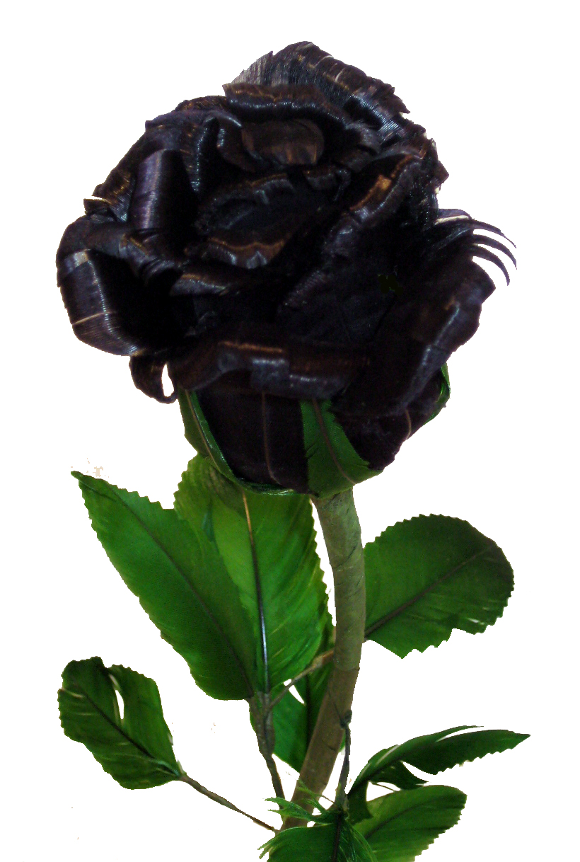 Single Black Rose Flower