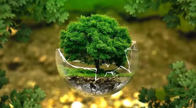 World Environment Day (WED): 5 June Importance and Awareness