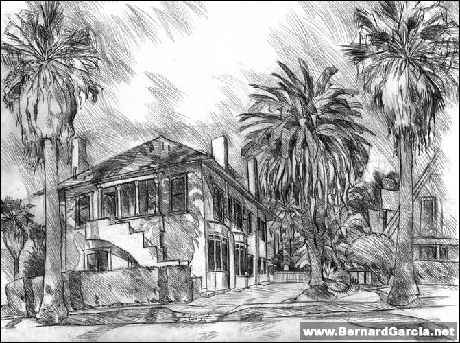 Palm Tree Drawing, Redlands