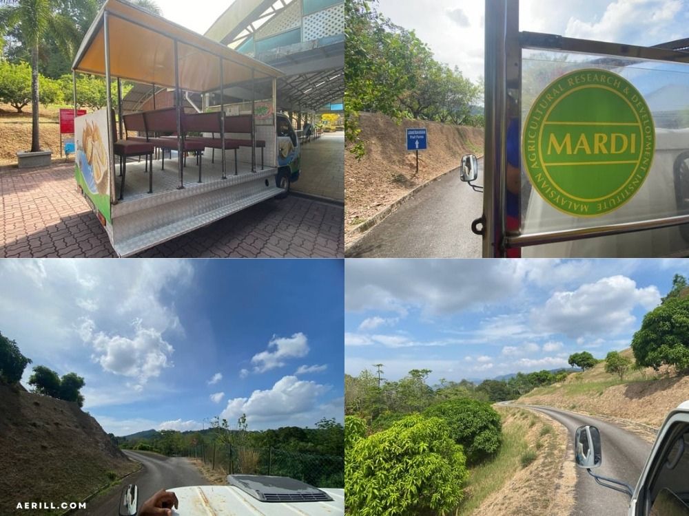 Meneroka Keindahan dan Kepelbagaian di Taman Agroteknologi MARDI Langkawi!