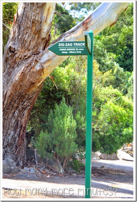 How Many More Minutes? ~ Longord, TAS: Cataract Gorge Reserve