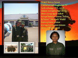 wakil senat