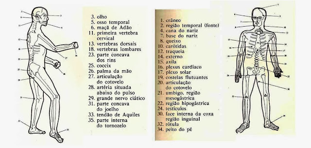 pontos vitais karate, karate golpes basicos, karate golpes mortais, karate golpes fatais, pontos vitais para matar, pontos vitais do corpo humano, pontos vitais karate