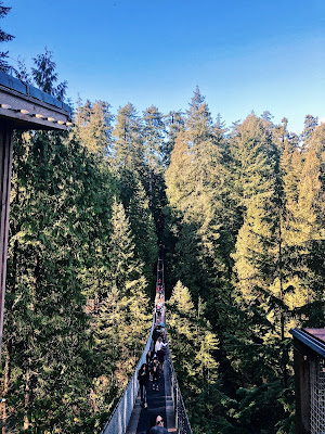 Capilano suspension bridge in park 