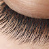 GROW LONG LASHES NATURALLY; HERE’S HOW!