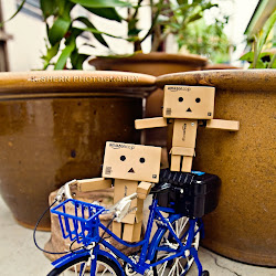 Gambar Danbo @ digaleri.com