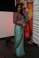 Regina Casandra in Lovely Beautiful saree Stunning Pics ~  Exclusive 16.JPG