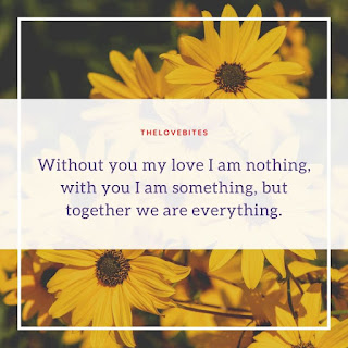 Without you my love I am nothing, with you I am something, but together we are everything.