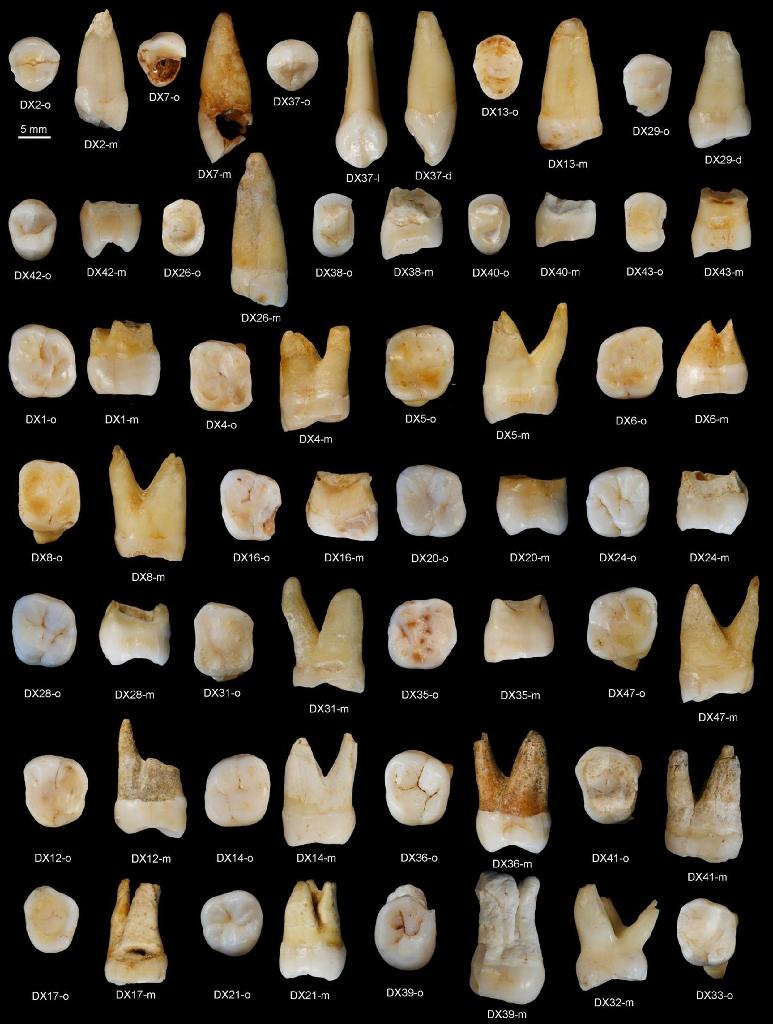 Modern humans out of Africa sooner than thought