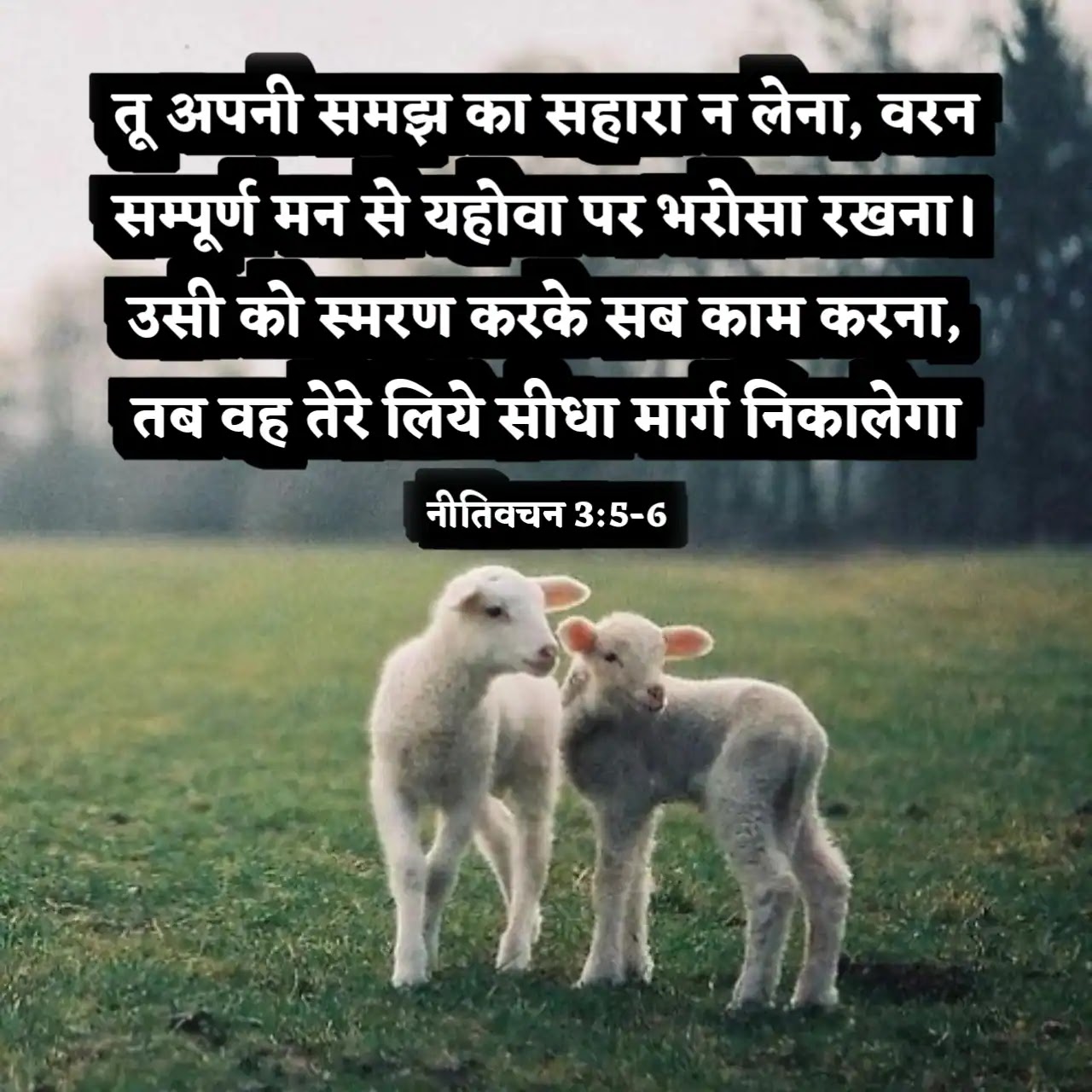 संकट के समय बाइबल वचन (Bible Verses In Times Of Trouble)