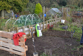 Norwich Allotment