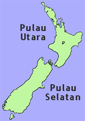 Kiwi, Burung Khas Selandia Baru | Republik Eusosialis Tawon