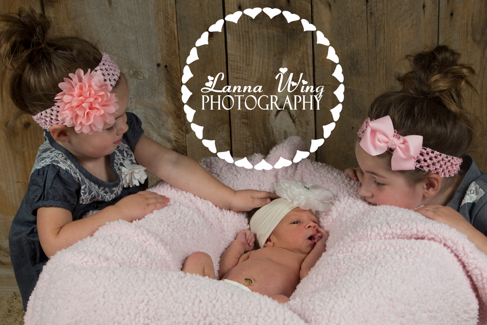   www.lannawingphotography.com