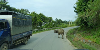 Carretera de Lao Cai a Bac Ha.