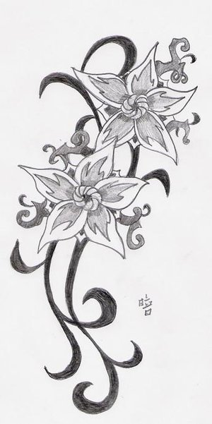 cherry blossom rib tattoos hummingbird tattoo flash