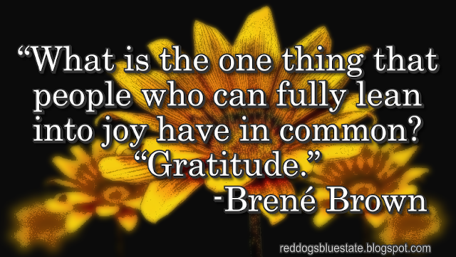 “What is the one thing that people who can fully lean into joy have in common? “Gratitude.” -Brené Brown