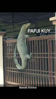  di artikel kali ini saya akan membagikan kumpulan foto meme biawak yang sempat viral di t √ 30+ Kumpulan Foto Meme Biawak Viral 2019