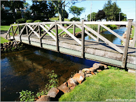 Arroyo Town Brook en el Brewster Garden de Plymouth