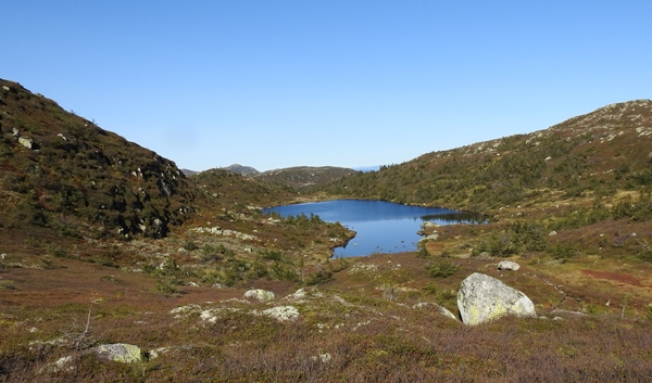 Gyranfisen svarttjernkollen vikerfjell