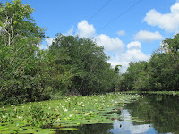 rio dulce viaggio in solitaria guatemala