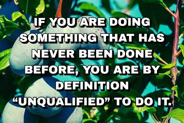 If you are doing something that has never been done before, you are by definition “unqualified” to do it.
