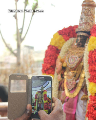 2015, Kodai Utsavam, Venkata Krishnan Swamy, Parthasarathy Temple, Thiruvallikeni, Triplicane