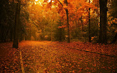 #2 Autumn Wallpaper