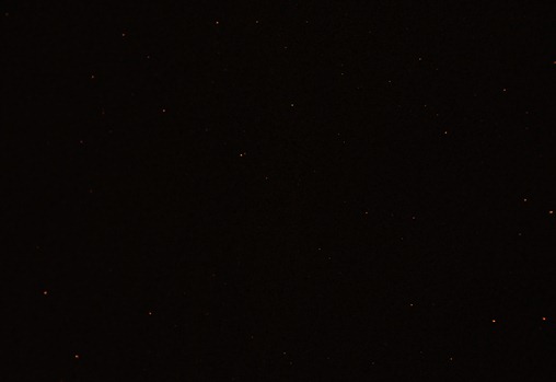 DSC_5917