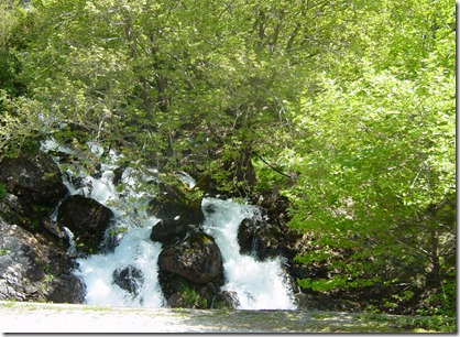DSC00175-1