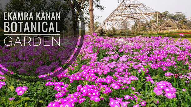 Ekamra kanan botanical garden, Jaydev vihar, Bhubaneswar