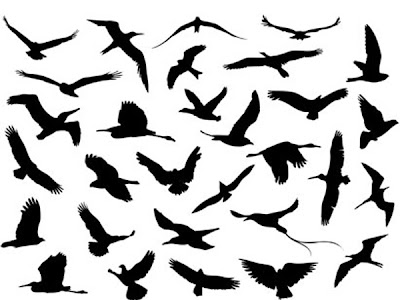 羽ばたく鳥 イラスト かっこいい 羽ばたく鳥 イラスト かっこいい Okepictikv1 羽ばたく鳥 イラスト かっこいい 羽ばたく鳥 イラスト かっこいい Okepictikv1