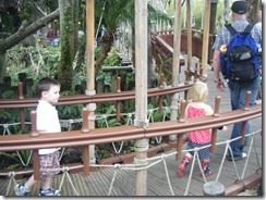 DSCF6694 DSCF6694