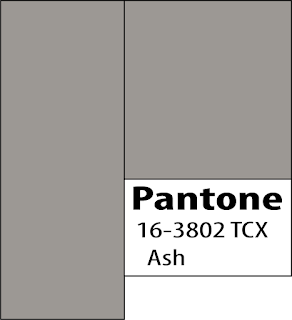 2020 fashion Color Palette Pantone Ash color