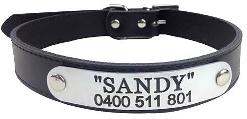 australian-personalised-leather-dog-collars