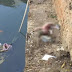 एक नवजात शिशु का शव पाए जाने से...क्षेत्र में मचा हडकंप,पुलिस कर रही जाँच