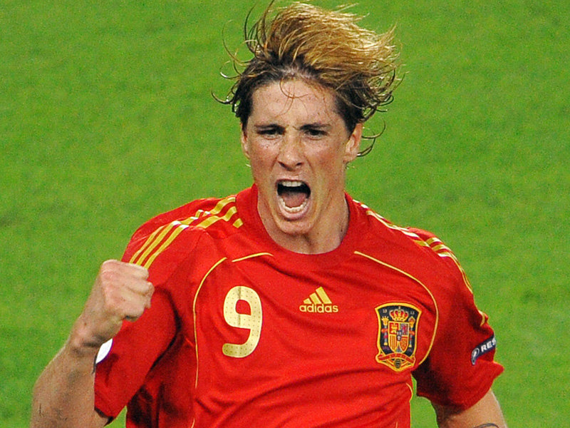 fernando torres