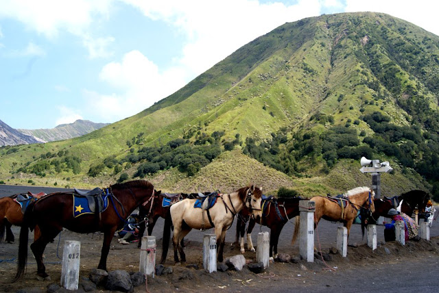 paket wisata surabaya bromo, paket tour bromo murah dari surabaya, paket wisata murah surabaya bromo