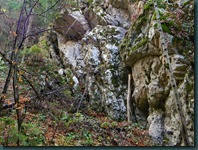 DSCN9781