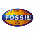 FOSSIL