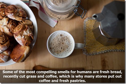 10_interesting_facts_about_smelling_640_06