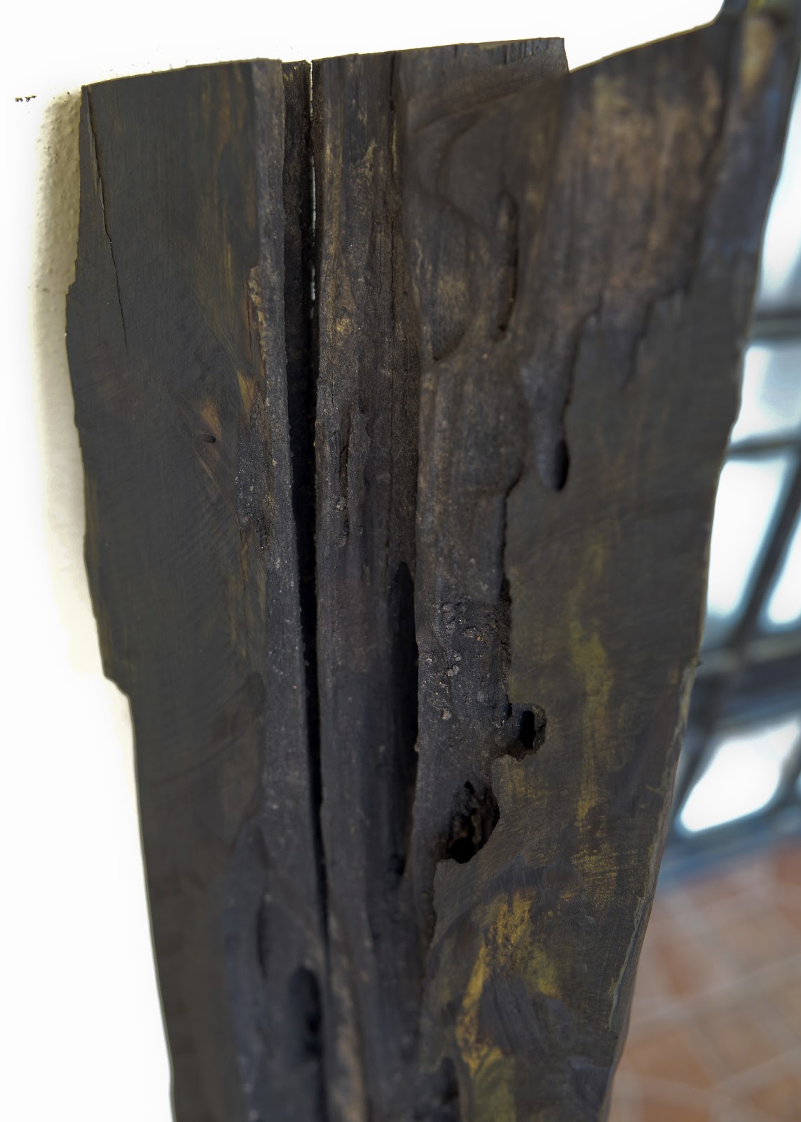 khasiat kayu kemuning hitam
