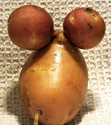 Mickey, pomme de terre