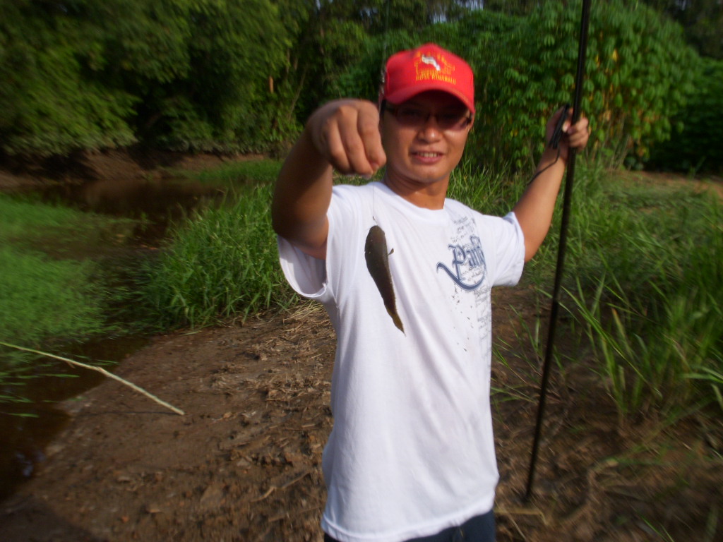 Mempuyu Di Kampung Halamanku
