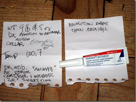 Vet Notes & Medication