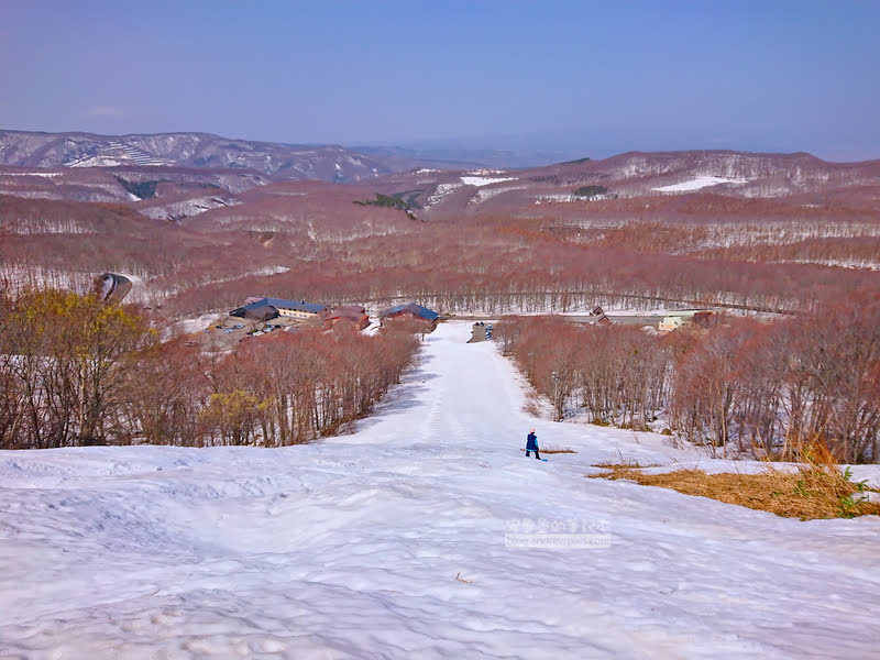 青森滑雪場,八甲田滑雪場,日本樹冰