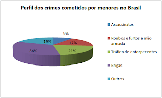 Gráfico que mostra qual o perfil dos crimes cometidos por menores no Brasil.