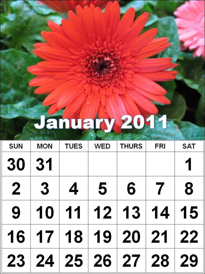 Blog: January 2011 Calendar Printable Landscape 